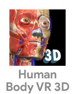 Human Body VR 3D logo